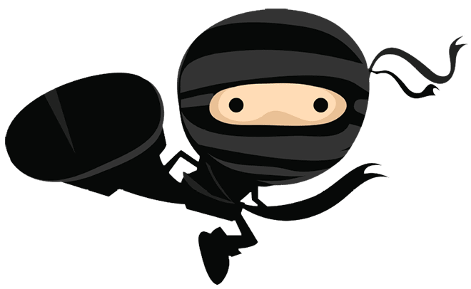 ninja 1 (2)